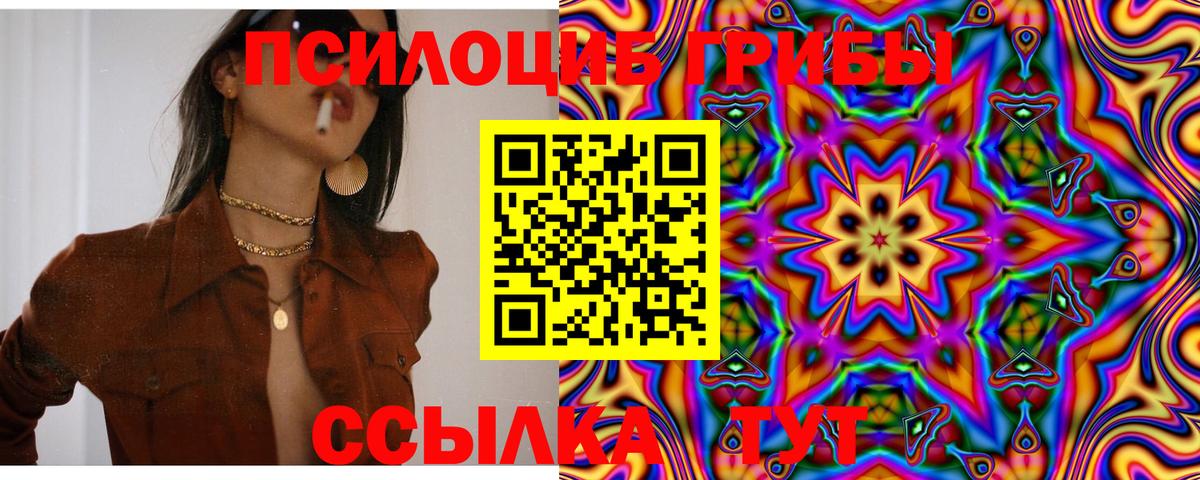 Рязань  Галлюциногенные грибы мицелий  Вход с VPN 